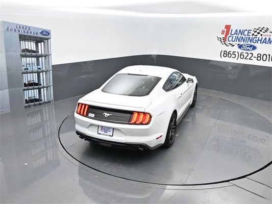 2023 Ford Mustang EcoBoost in Knoxville, TN - Lance Cunningham Ford