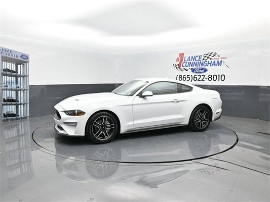 2023 Ford Mustang EcoBoost in Knoxville, TN - Lance Cunningham Ford