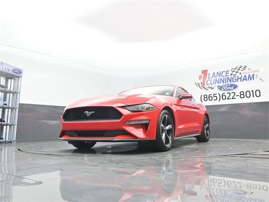 2020 Ford Mustang EcoBoost in Knoxville, TN - Lance Cunningham Ford