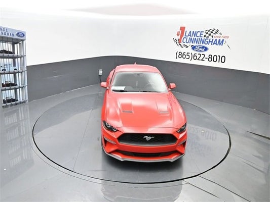 2020 Ford Mustang EcoBoost in Knoxville, TN - Lance Cunningham Ford
